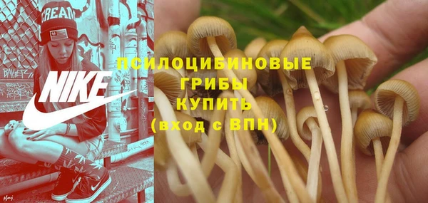 кокс Зеленодольск