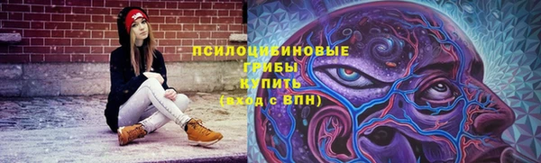 ГАЛЛЮЦИНОГЕННЫЕ ГРИБЫ Зеленокумск