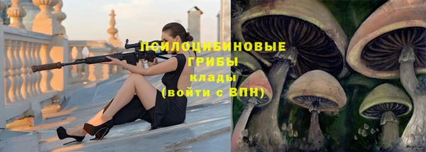 ГАЛЛЮЦИНОГЕННЫЕ ГРИБЫ Зеленокумск