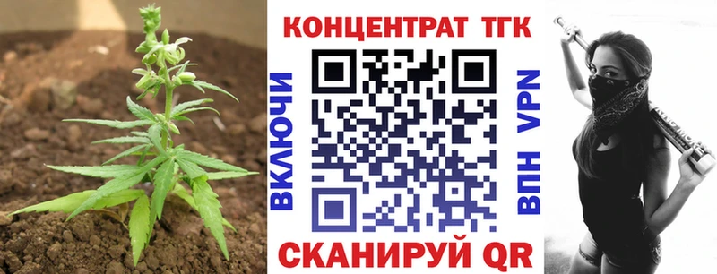 Купить где  Очёр  ТГК гашишное масло 