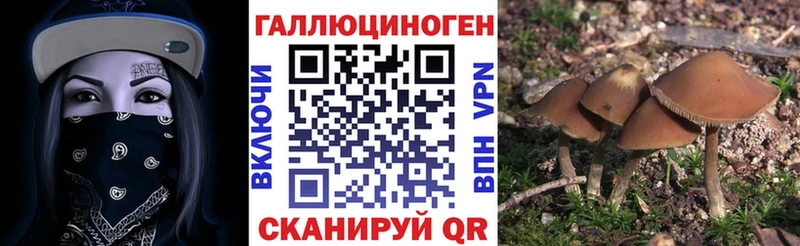Купить  Очёр  Псилоцибиновые грибы ЛСД 
